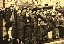 Wyzwolenie Auschwitz 3