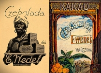 Wedlowska awionetka 15