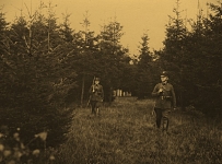 Henryk Minkiewicz-Odrowąż 2