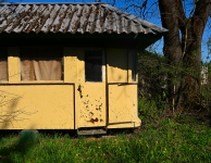 Tramwaj Lilpopa 4