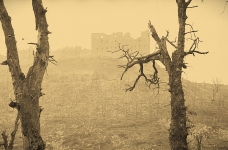 Monte Cassino 5