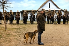 Aleksander Krzyżanowski "Wilk"