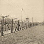 Ogrodzenie dawnego niemieckiego obozu koncentracyjnego, obecnie na terenie Państwowego Muzeum na Majdanku