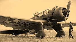 Polskie lotnictwo 19