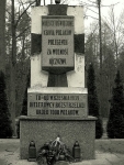 Las Szpęgawski 12